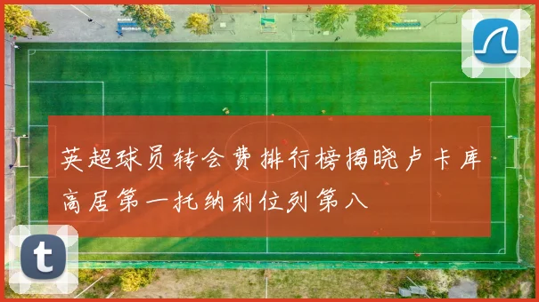 英超球员转会费排行榜揭晓卢卡库高居第一托纳利位列第八